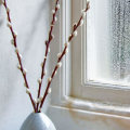 Understanding the Extent of Damage to Your Windows