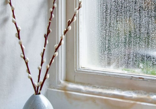 Understanding the Extent of Damage to Your Windows